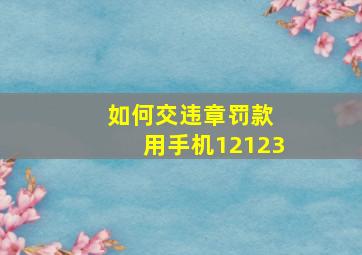 如何交违章罚款 用手机12123